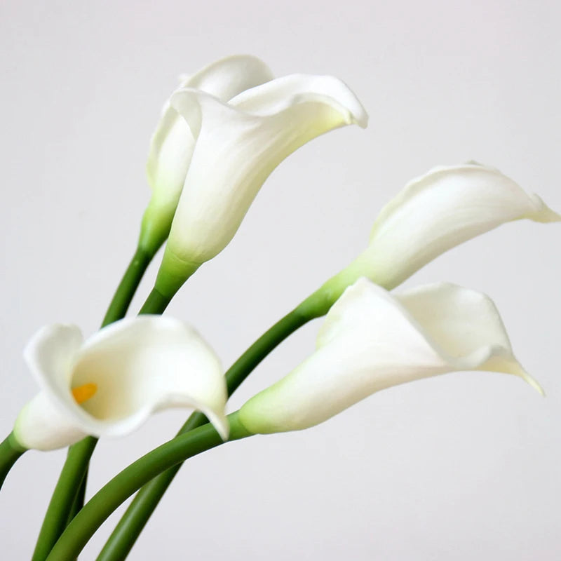 Calla Lily 10Pc Bouquet