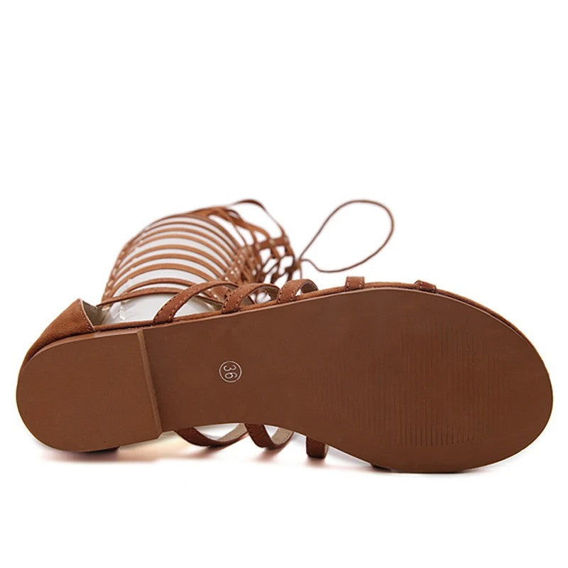 Spartaca Gladiator Sandals